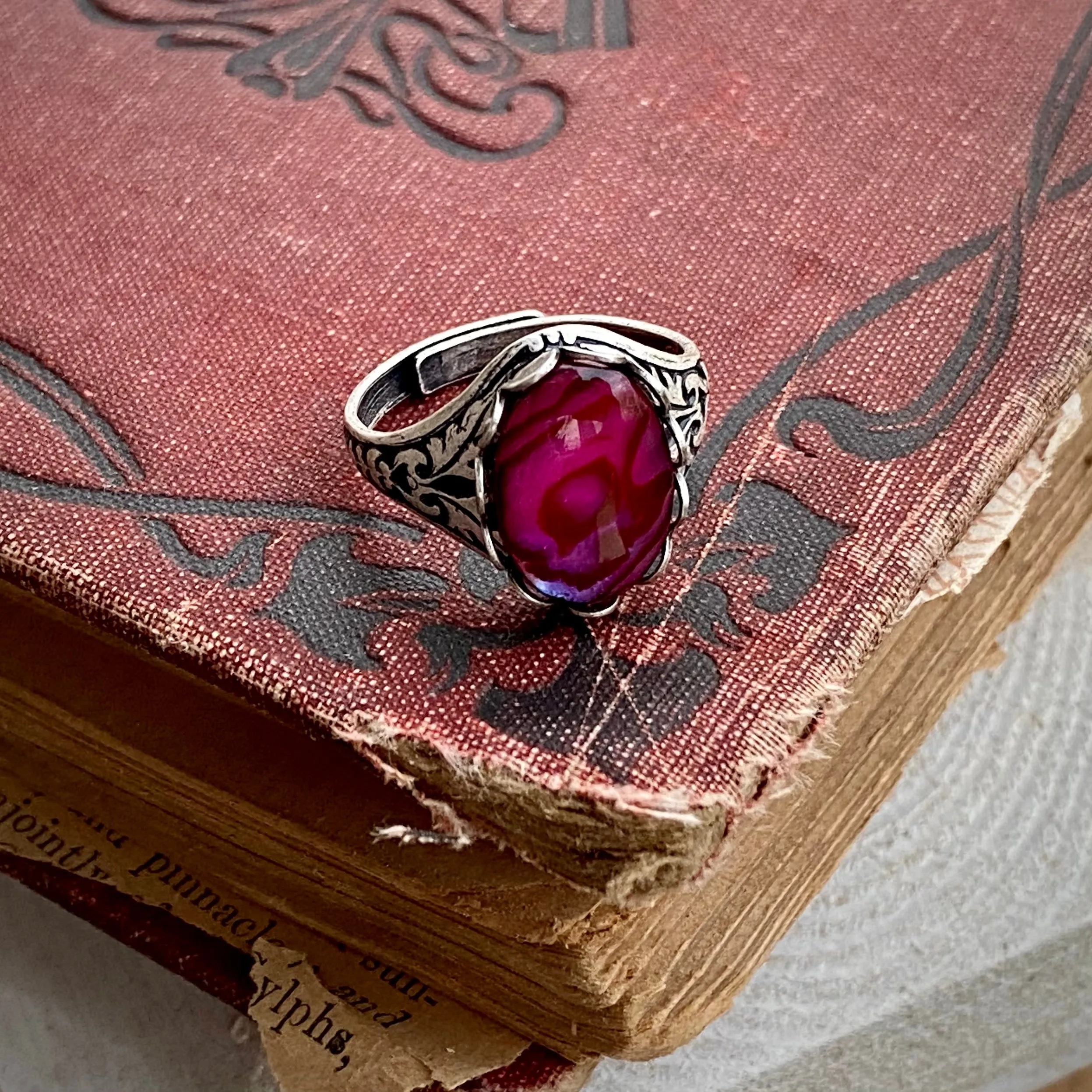 Paua Shell Adjustable Ring